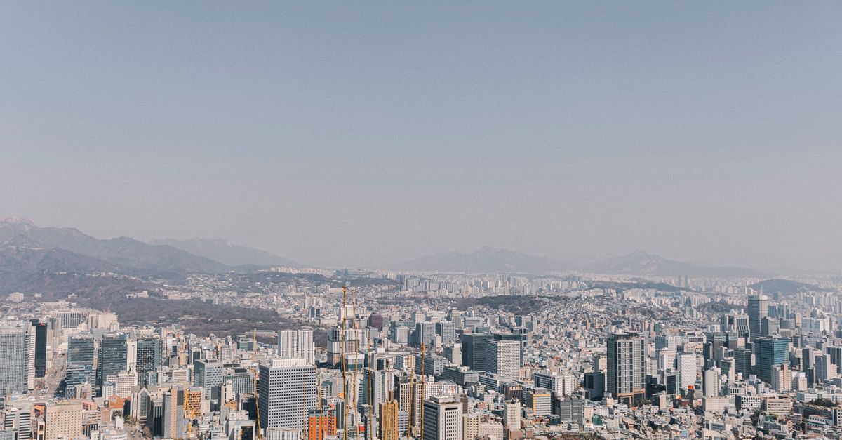 서울 강남구 피부과 현황 완전 분석 — 심평원 공공데이터 기준 2026년